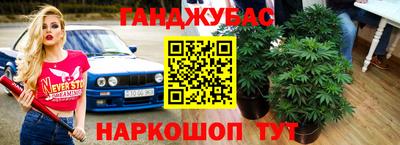 мяу мяу мука Камышлов