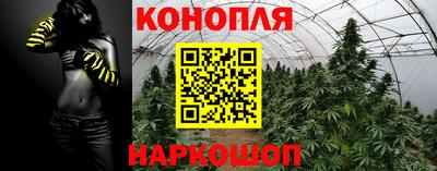 мяу мяу мука Камышлов